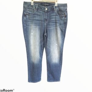 Lane Bryant  straight leg jeans